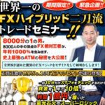 FXハイブリッド二刀流トレードセミナー 山田良政 FX