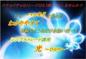 優位性を目でハッキリと見えるようになるためのトレード講座　光～ひかり～（株式会社ベアードライン） 検証