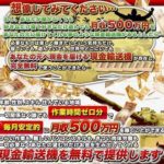 マネーマティック 星野一樹 合同会社kizuna 批評