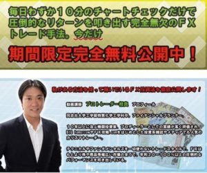 プロトレーダー相良 完全無欠のＦＸトレード 株式会社ルートウェイ 批評