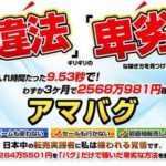 アマバグセミナー 谷平隆治 批評