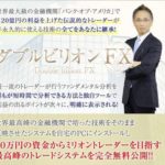 阪谷直人 ダブルビリオンFX 批評