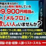 中松祐太 メルブロ 株式会社フリッカースタイル 批評