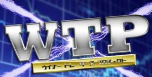 神条武 ウィナートレーダーズプロジェクト（WTP) 批評