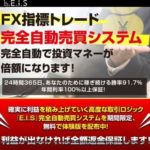 E.I.Sシステム CMMリミテッド 批評