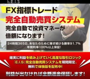 E.I.Sシステム CMMリミテッド 批評