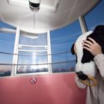 欧州債務危機とは一体なに?起きた原因と見解のまとめ