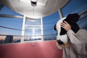 欧州債務危機とは一体なに？起きた原因と見解のまとめ