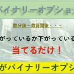 えっ…高橋純さんのキングダムビジネス　モンテカルロバイナリーが怪しすぎる件