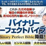 バイナリーパーフェクトバイブル 批評