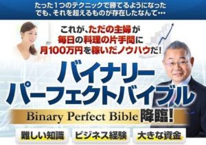 バイナリーパーフェクトバイブル 批評