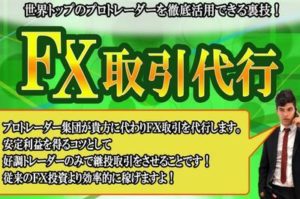 畠山美広 FX取引代行をレビューしてみた