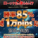 坂巻式?メテオチャート-デイトレードプレミアム-ってどうよ?