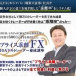 10万ドルトレーダー養成塾 プライス乖離FX 谷中伴行 批評