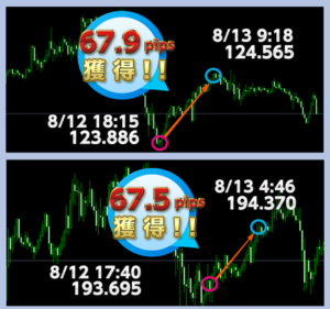 Flash Zone FX （フラッシュ・ゾーン FX） ポールジモン 株式会社ISKcapital 念の為に…